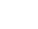 MartinVest Logo